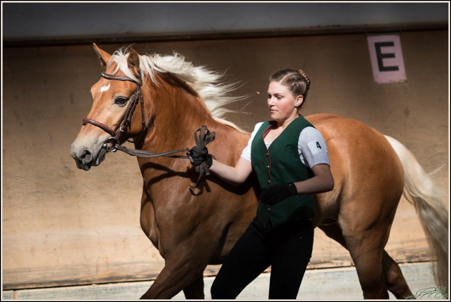 Pferd International 003
